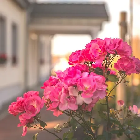 Und Restaurant Gutshaus Gasthuis Kaltenhof